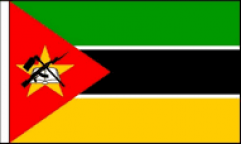 Mozambique Hand Waving Flags